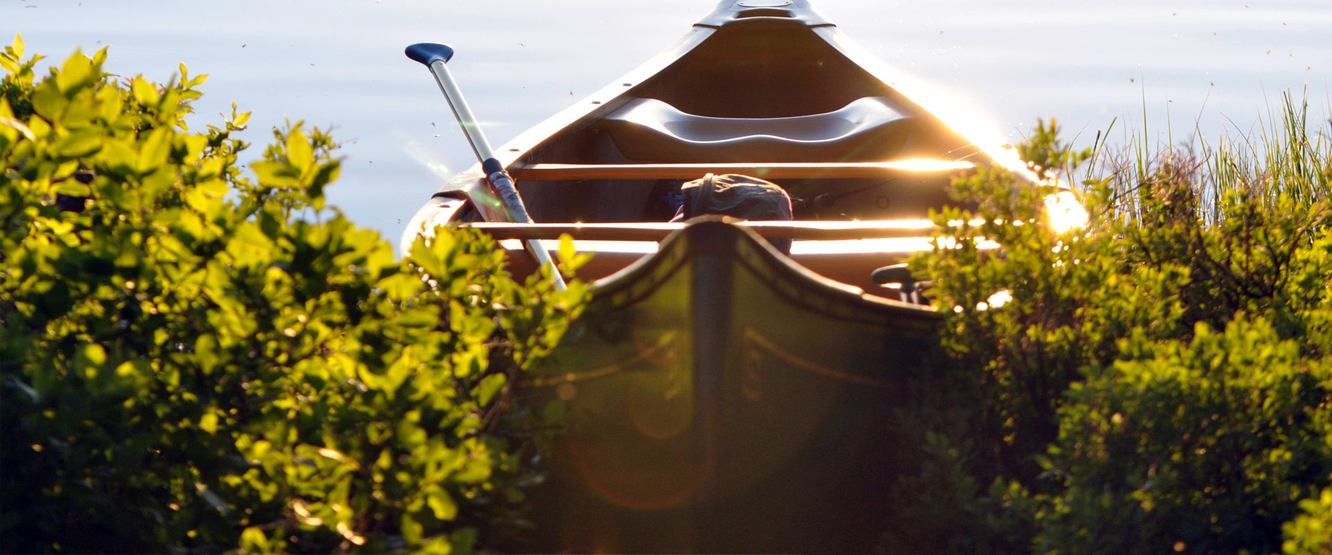 账号代购平台的轰炸电话网页版